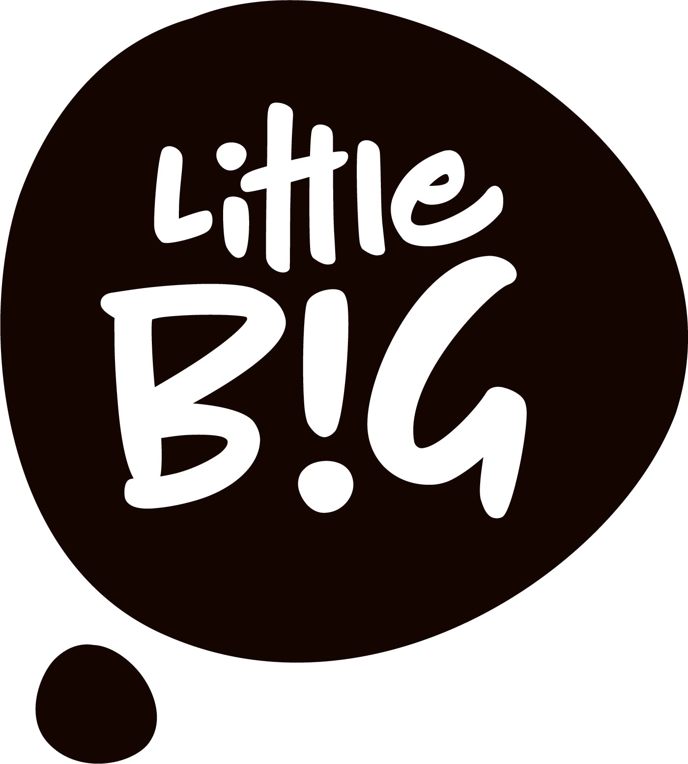 Little BIG Foundation