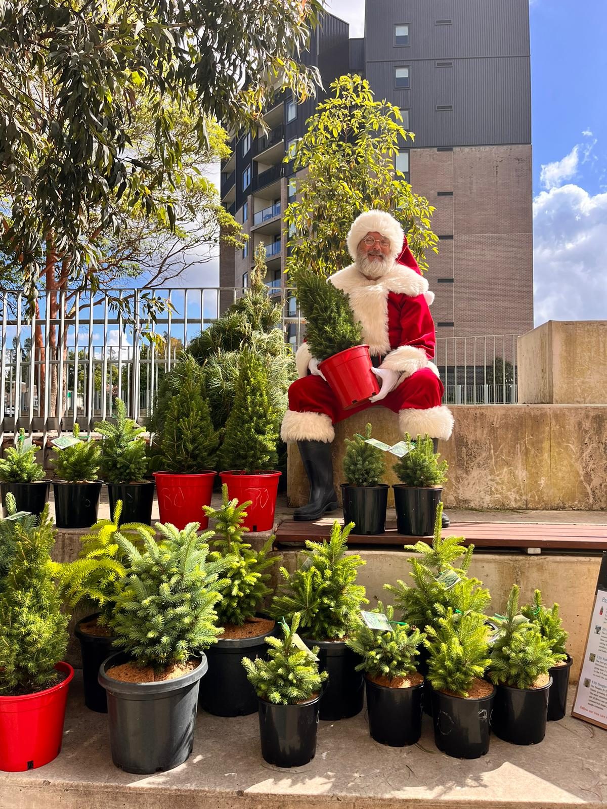 Santa with potted trees