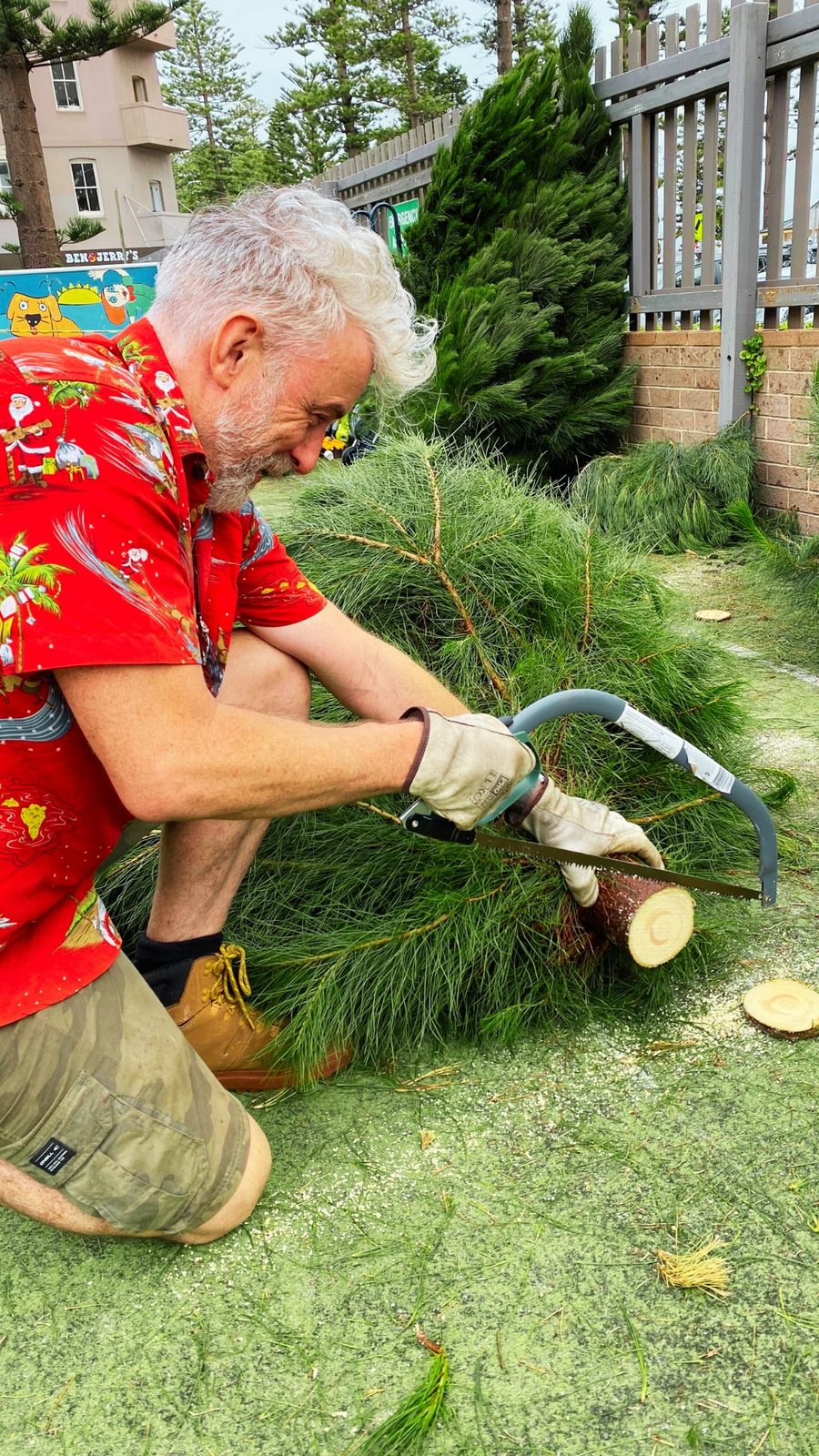 Cutting a fresh tree
